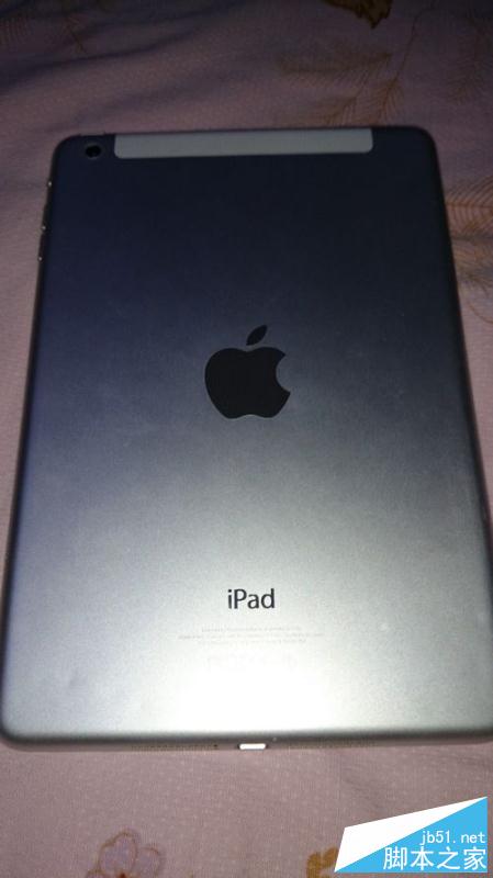 為iPadmini更換顯示屏