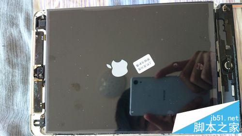為iPadmini更換顯示屏