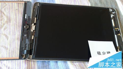 為iPadmini更換顯示屏