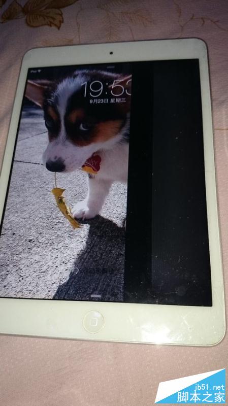 為iPadmini更換顯示屏