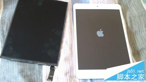 為iPadmini更換顯示屏