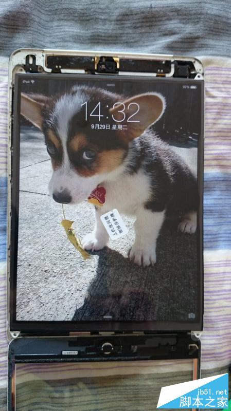 為iPadmini更換顯示屏