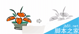 CorelDRAW 12循序漸進-透鏡效果 武林網 CorelDraw入門教程