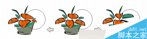 CorelDRAW 12循序漸進-透鏡效果 武林網 CorelDraw入門教程