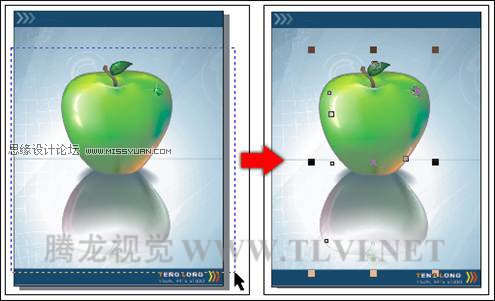 在CorelDRAW中的對象概述與選擇對象,破洛洛