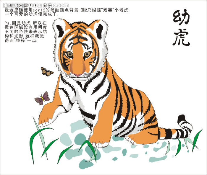 CDR繪制可愛的幼虎 武林網 CDR實例教程