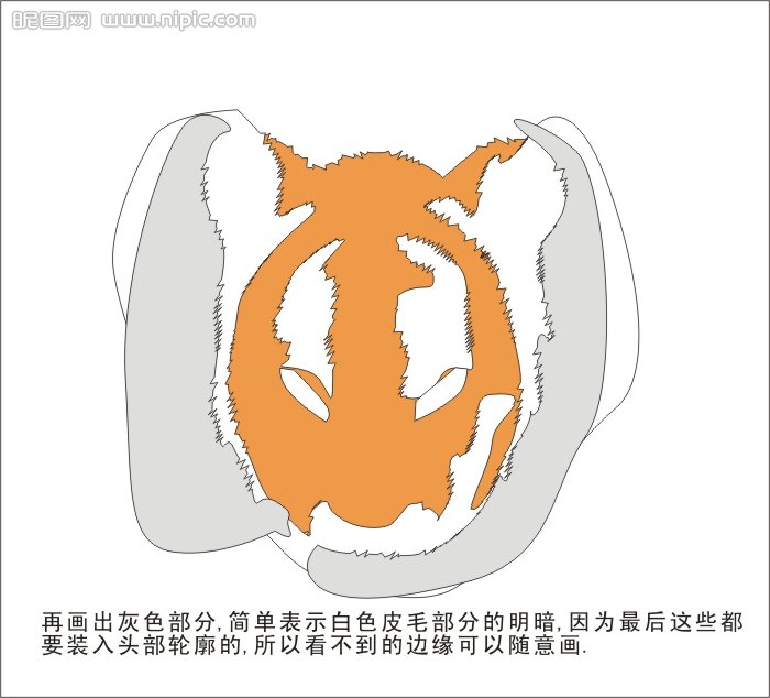 CDR繪制可愛的幼虎 武林網 CDR實例教程