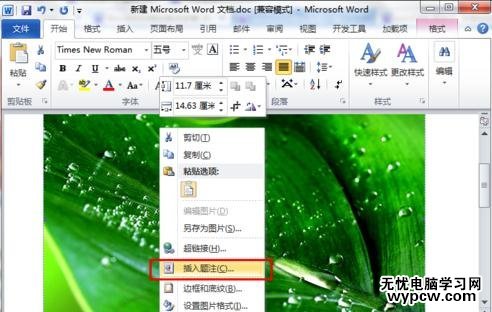 word2010如何為圖片添加題注