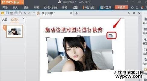 怎么在wps演示中處理圖片