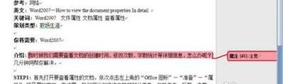 word2007插入和修改批注的兩種方法