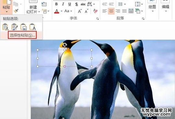 ppt2013怎么設置文本背景填充效果_ppt2013設置文本背景填充效果的方法