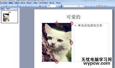 ppt2013怎么設(shè)置文字環(huán)繞效果