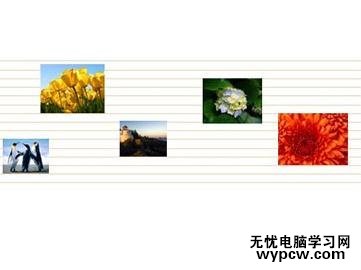 怎么通過底紋襯托排版圖片