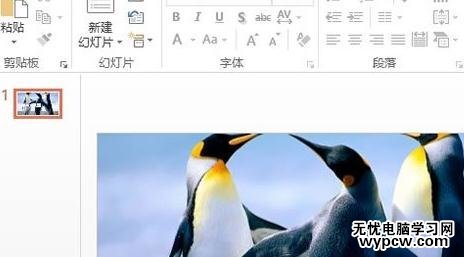 ppt2013怎么設置文本背景填充效果_ppt2013設置文本背景填充效果的方法