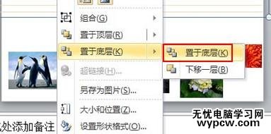 怎么通過底紋襯托排版圖片