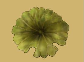 MAYA制作荷塘月色水墨動(dòng)畫 武林網(wǎng) MAYA角色動(dòng)畫教程
