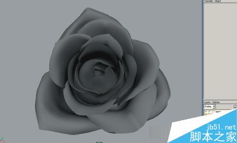 maya7.0玫瑰花建模教程 武林網(wǎng) MAYA材質(zhì)燈光