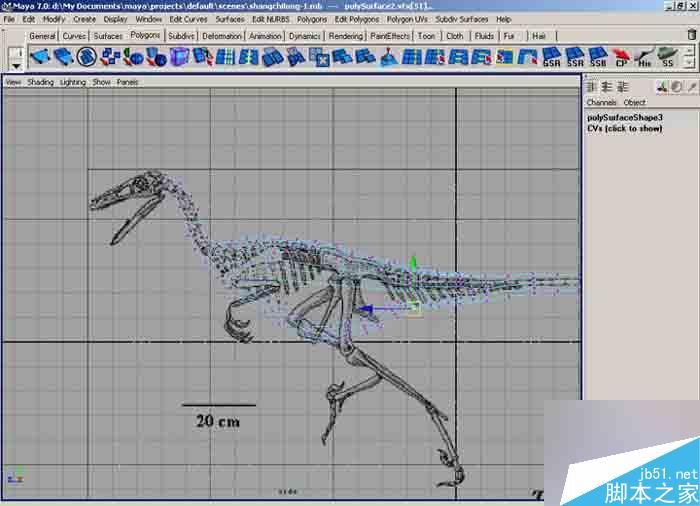 MAYA 7.0恐龍建模教程 武林網 MAYA建模教程