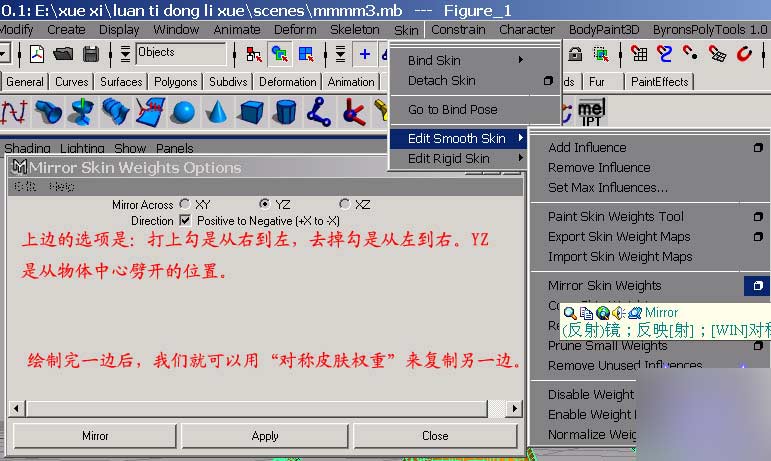 Maya 6.0 新功能之Hair 武林網(wǎng) MAYA角色動(dòng)畫教程