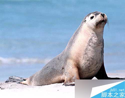 maya完美表現(xiàn)自然光 武林網(wǎng) maya燈光教程