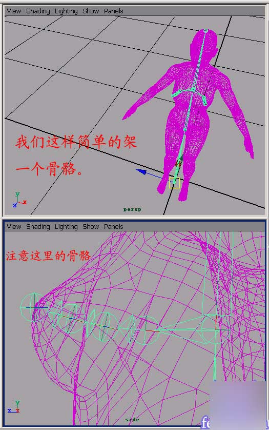 Maya 6.0 新功能之Hair 武林網(wǎng) MAYA角色動(dòng)畫教程