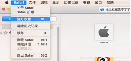safari地址欄無(wú)法搜索怎么辦 safari地址欄搜索不了解決方法1