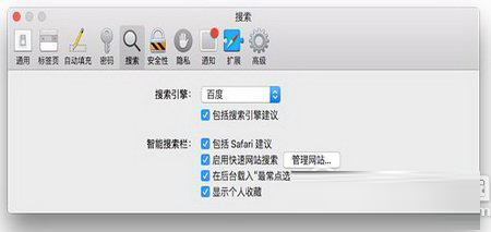safari地址欄無(wú)法搜索怎么辦 safari地址欄搜索不了解決方法2