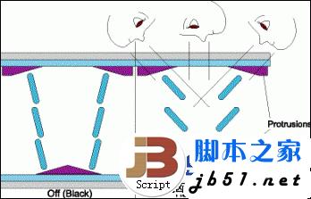 硬屏和軟屏的區(qū)別