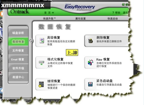 EasyRecovery數據恢復軟件(使用圖解教程)