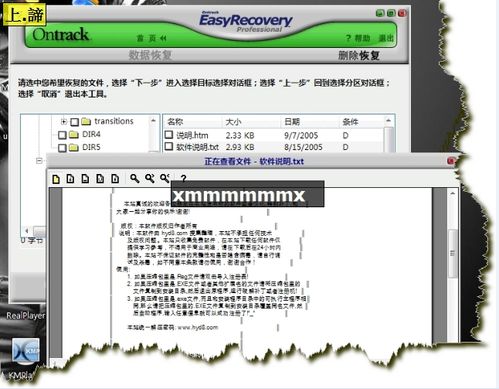 EasyRecovery數據恢復軟件(使用圖解教程)