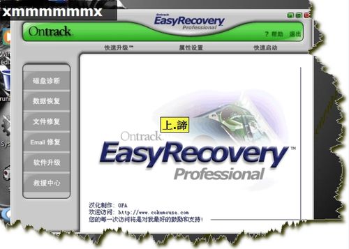 EasyRecovery數據恢復軟件(使用圖解教程)