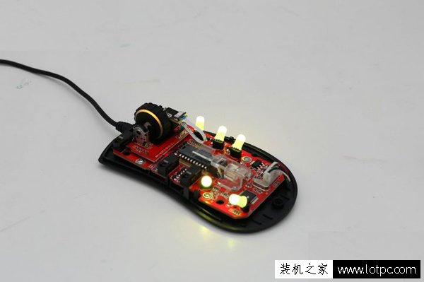 ducky Secret神秘國度！魔力鴨首款鼠標(biāo)ducky Secret前瞻