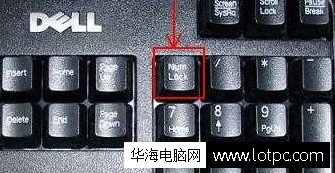 臺(tái)式電腦鍵盤開啟小鍵盤方法 筆記本切換小鍵盤