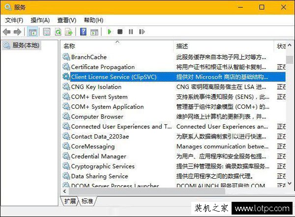 Wsappx是什么進程？Win10系統中的wsappx進程知識
