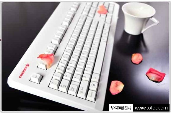 電腦機(jī)械鍵盤什么牌子好