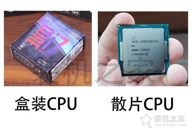 intel中文盒裝和英文盒裝、散片CPU的區(qū)別對(duì)比科普 裝機(jī)值得一看！