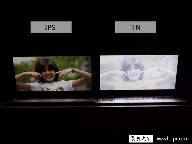 筆記本電腦IPS屏和TN屏有什么區別？IPS屏和TN屏哪個好？
