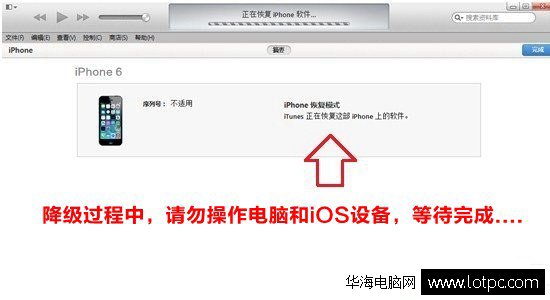 蘋果iphone、ipad