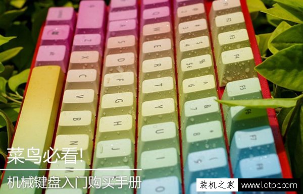 菜鳥必讀:機(jī)械鍵盤入門選購指南