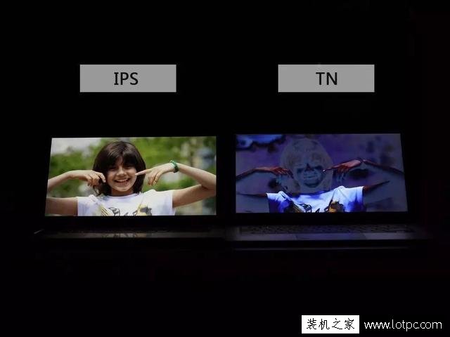 筆記本電腦IPS屏和TN屏有什么區別？IPS屏和TN屏哪個好？
