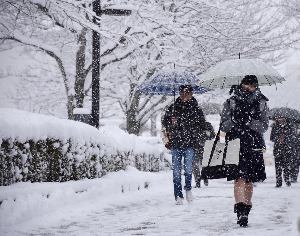 “鵝毛大雪”才是暴雪？究竟多大的雪才是暴雪？