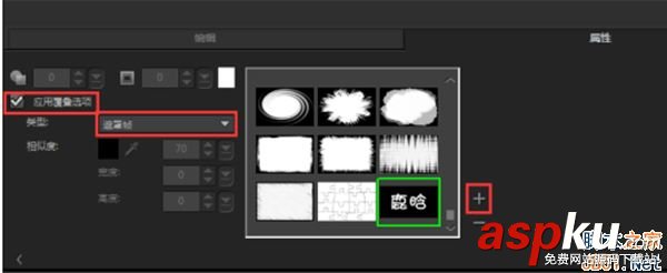 會聲會影,彩色字