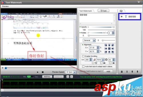 視頻,文字,VideoWatermarkPro