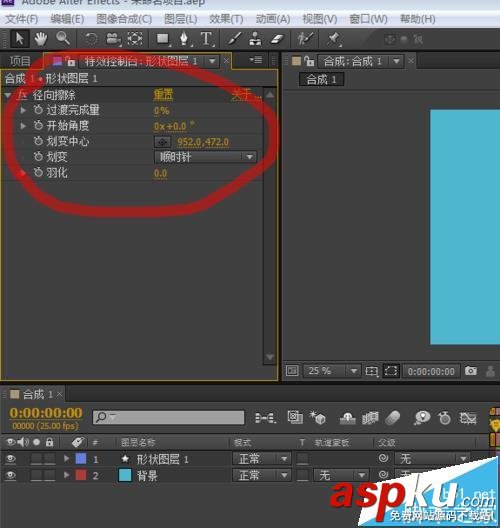AE,命令,徑向擦除