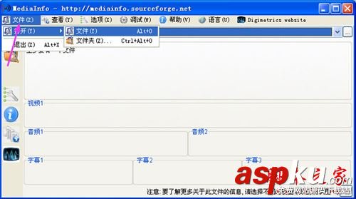 Mediainfo,視頻參數