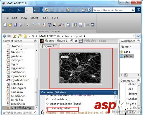 matlab,圖像,灰度化