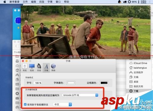射手播放器怎么給視頻自動(dòng)匹配字幕的? 射手播放器,字幕