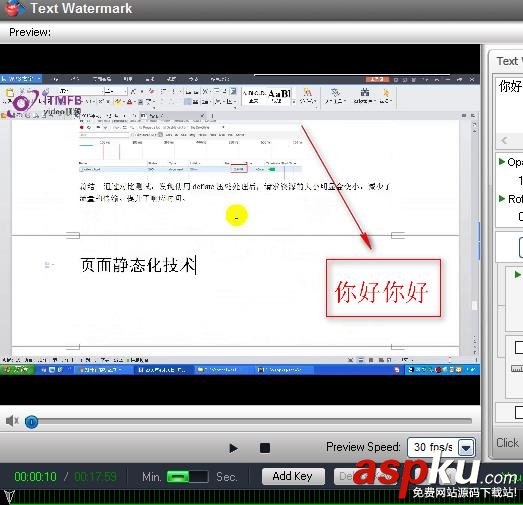 視頻,文字,VideoWatermarkPro