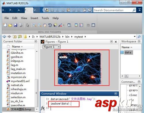 matlab,圖像,灰度化
