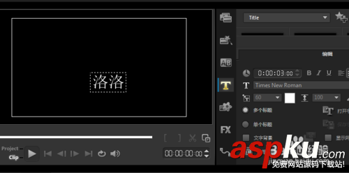 會聲會影,視頻,標題
